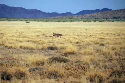 20120530Namibia5.Tag268.JPG