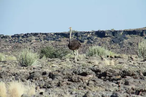 20120601Namibia7.Tag14.JPG