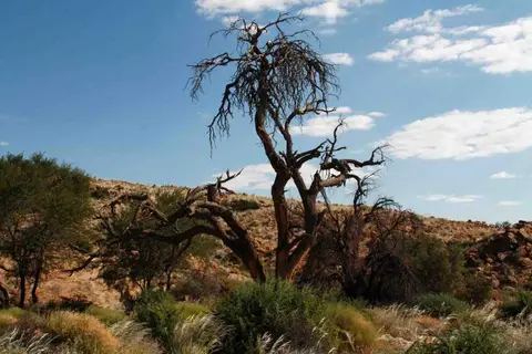 20120601Namibia7.Tag153.JPG