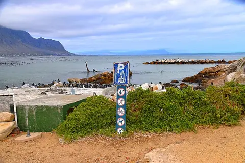 D56_7142.JPG