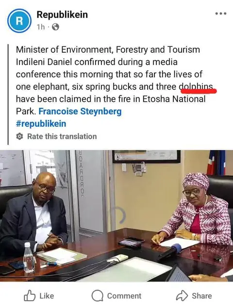 FireEtosha.jpg