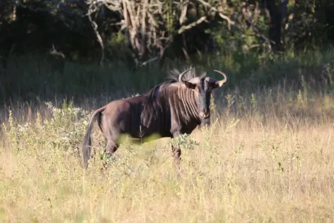 11-7Y7B5528.JPG