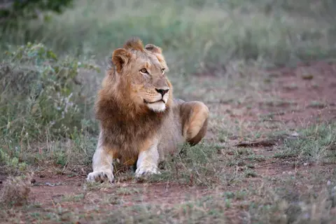 18-7Y7B7789.JPG