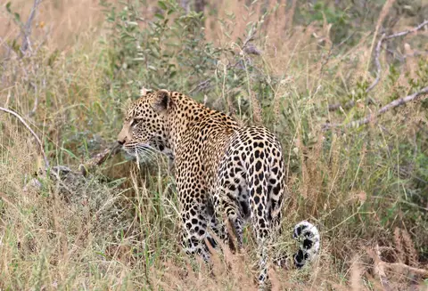 3-IMG_3883.JPG