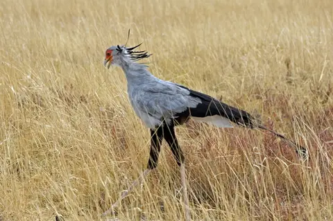 h700f12b.JPG