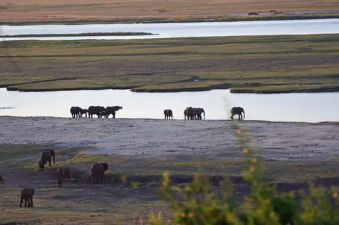 hf6225f4.JPG