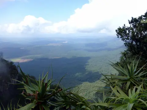 P1020031.JPG