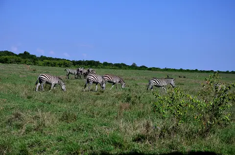 h080354c.jpg