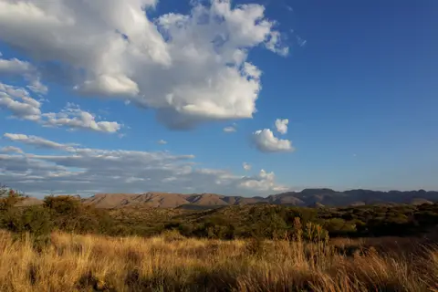 h9b66c25.jpg