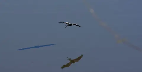 h43e3622.JPG