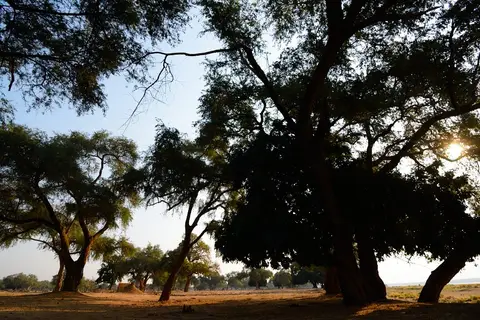 h62c681c.JPG