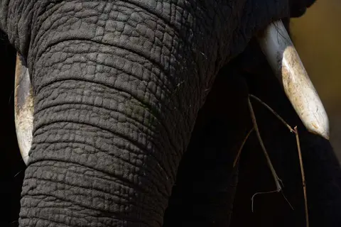 h9c23c2b.JPG