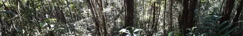 DSC01010.jpg