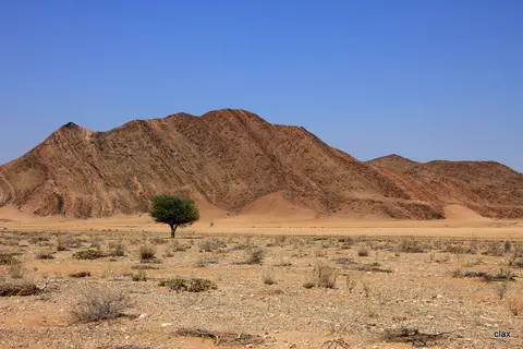 h0180596.JPG