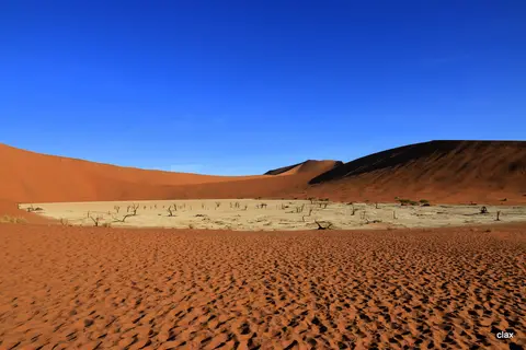 h15361d7.jpg