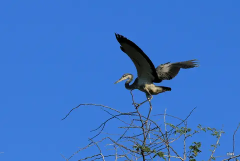 h36d3a8d.JPG