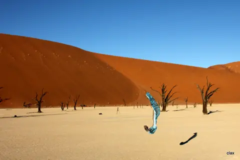 h47c8e69.jpg