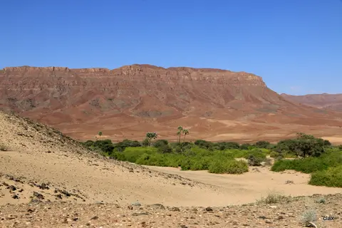 h65923fa.JPG