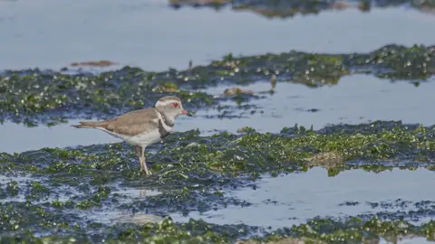 2022.08.30-100154_R5BA9895.jpg