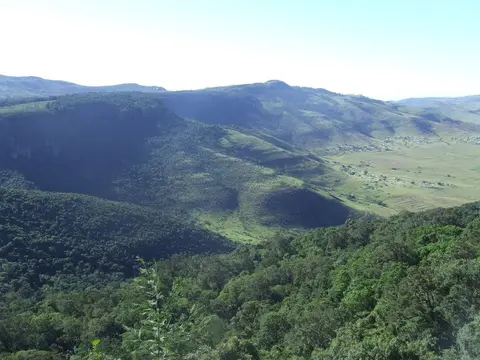EasternCapeAmatolaMountainHogsback5.JPG