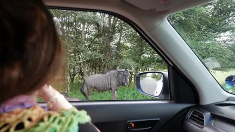 4-2-3-4-5.JPG