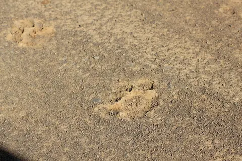 h462634d.JPG