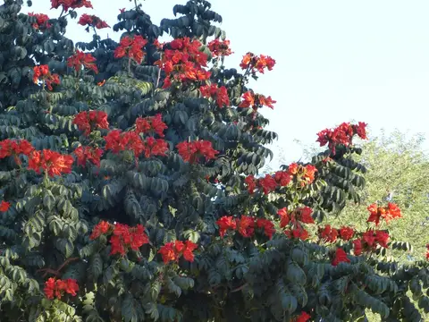 h4120ab0.JPG