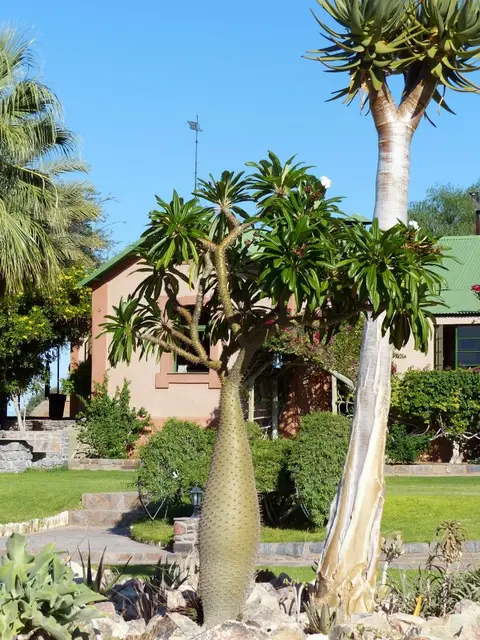 h7578713.JPG