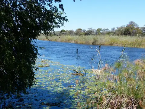 h959fd9c.JPG
