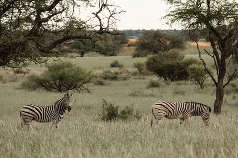 015-Namibia_2026.jpg