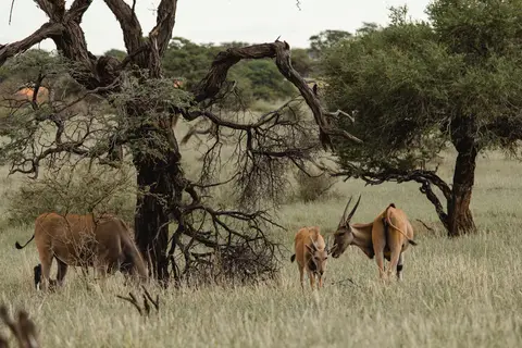 016-Namibia_2026.jpg