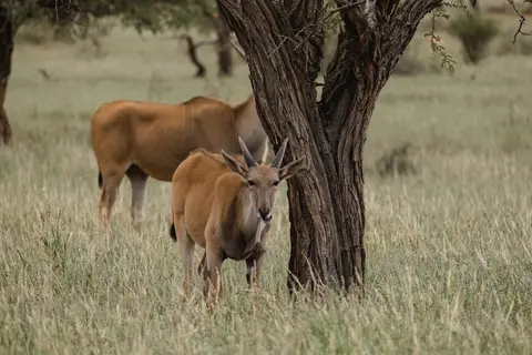 018-Namibia_2026.jpg