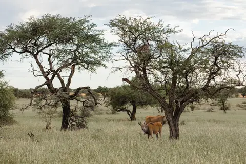 019-Namibia_2026.jpg