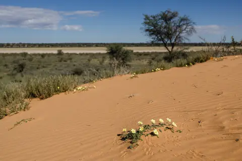 029-Namibia_2026.jpg