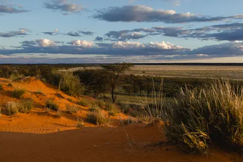 048-Namibia_2026.jpg