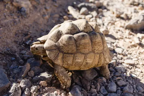075-Namibia2026.jpg