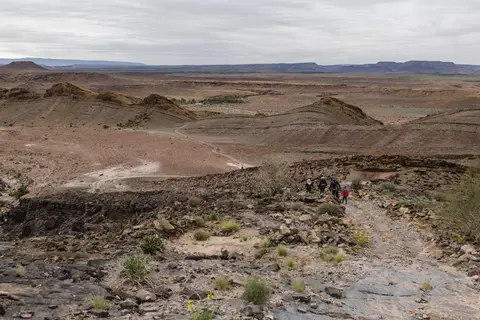 100-Namibia2026.jpg