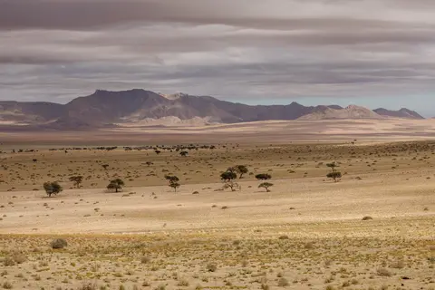 150-Namibia2026.jpg