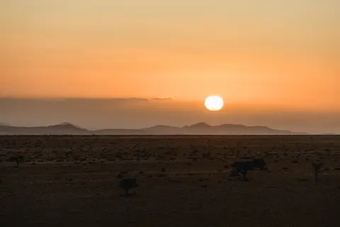 184-Namibia2026.jpg