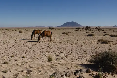 185-Namibia2026.jpg