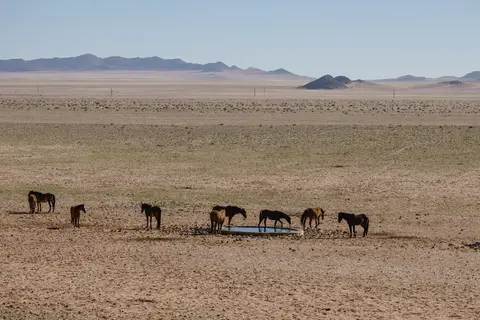 190-Namibia2026.jpg