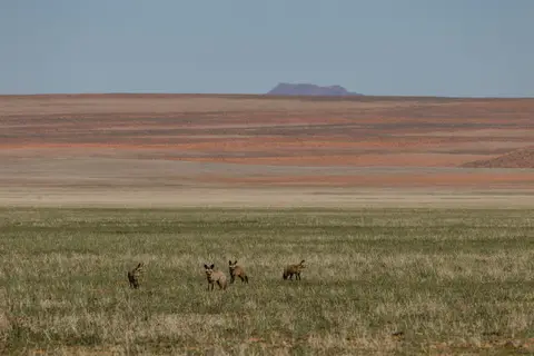 247-Namibia2026.jpg