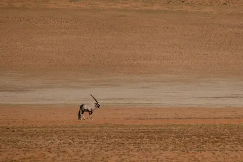 249-Namibia2026.jpg