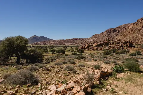 255-Namibia2026.jpg