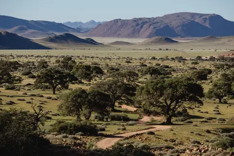 263-Namibia2026.jpg