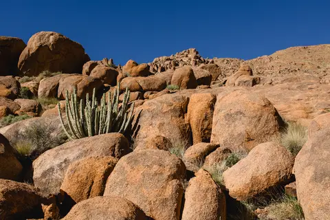 268-Namibia2026.jpg