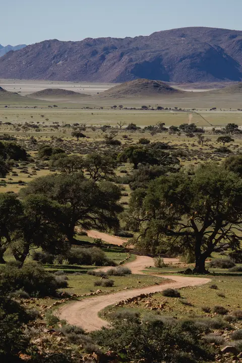 276-Namibia2026.jpg