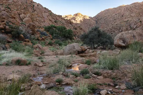 283-Namibia2026.jpg