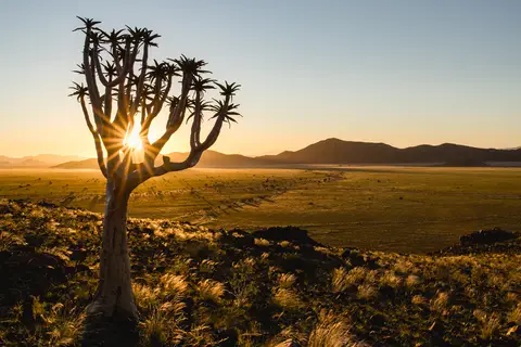 290-Namibia2026.jpg