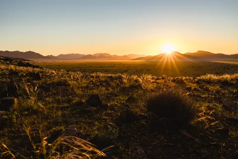 291-Namibia2026.jpg